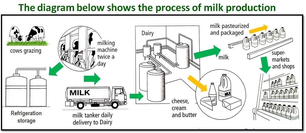 IELTS Academic Writing Task 1 - Process diagram questions | BestMyTest