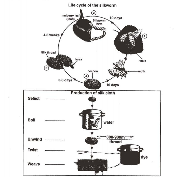 Process Diagram Ielts Writing Task 1